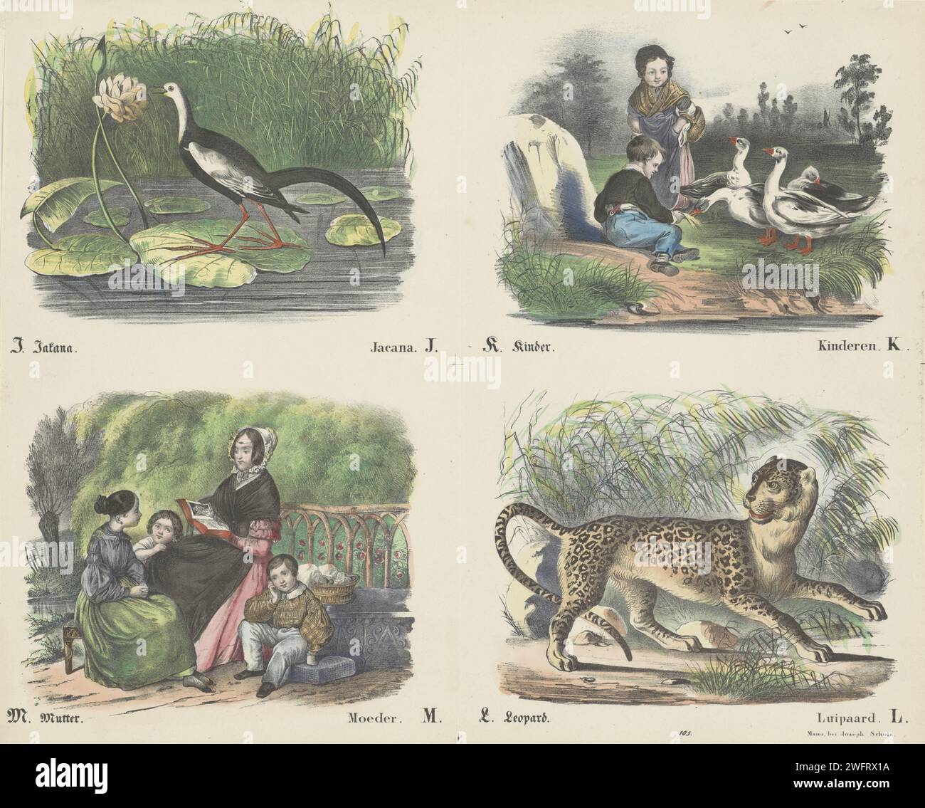 Lettere J, k, m e l, compagnia Joseph keld, 1829 - 1880 stampa foglia con 4 spettacoli da ritagliare e legare insieme per prenotare sull'alfabeto. Immagina le lettere J (Jacana), K (bambini), M (madre) e L (leopardo). Sotto ogni immagine una didascalia in tedesco e in olandese. Numerato sotto: N. 105. Editore: Mainzprint Maker: Europa lettere cartacee, alfabeto, script Foto Stock
