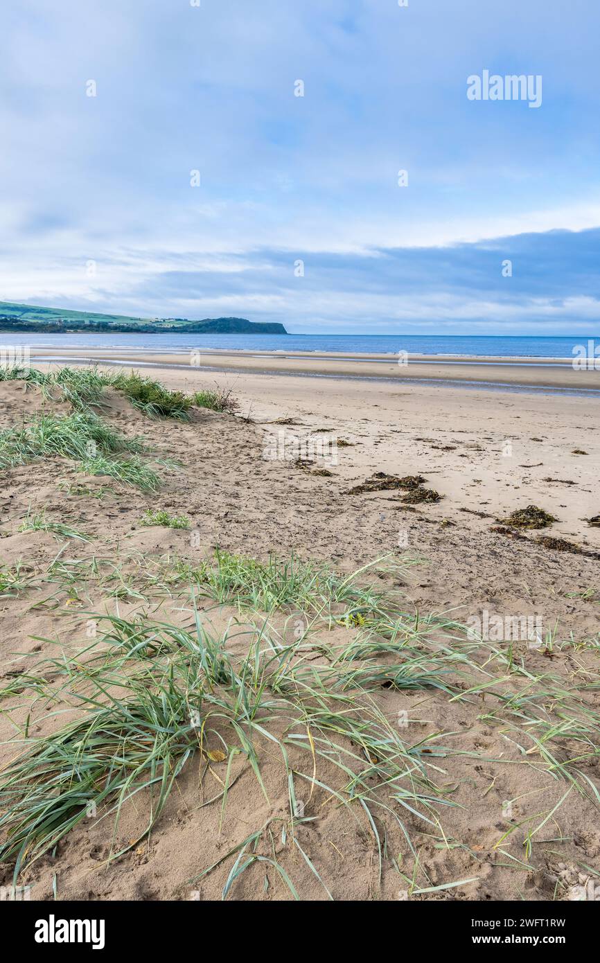 Ayr Beach, Aryshire, Scozia Foto Stock