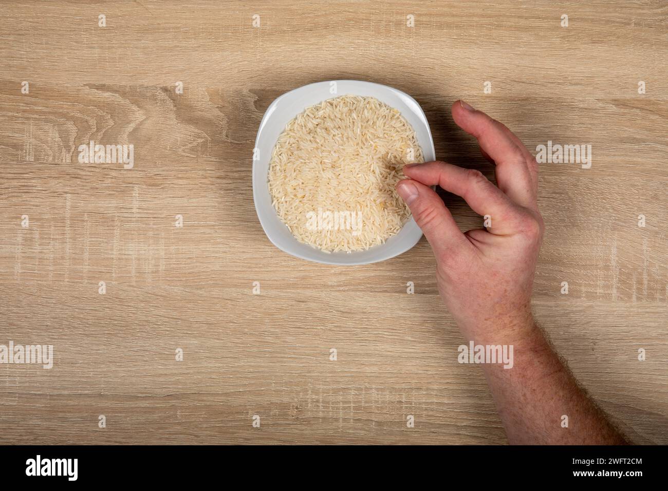 Raccolta manuale di riso dal White Bowl - concetto di emissioni di fame, cibo e gas serra agricoli. Foto Stock