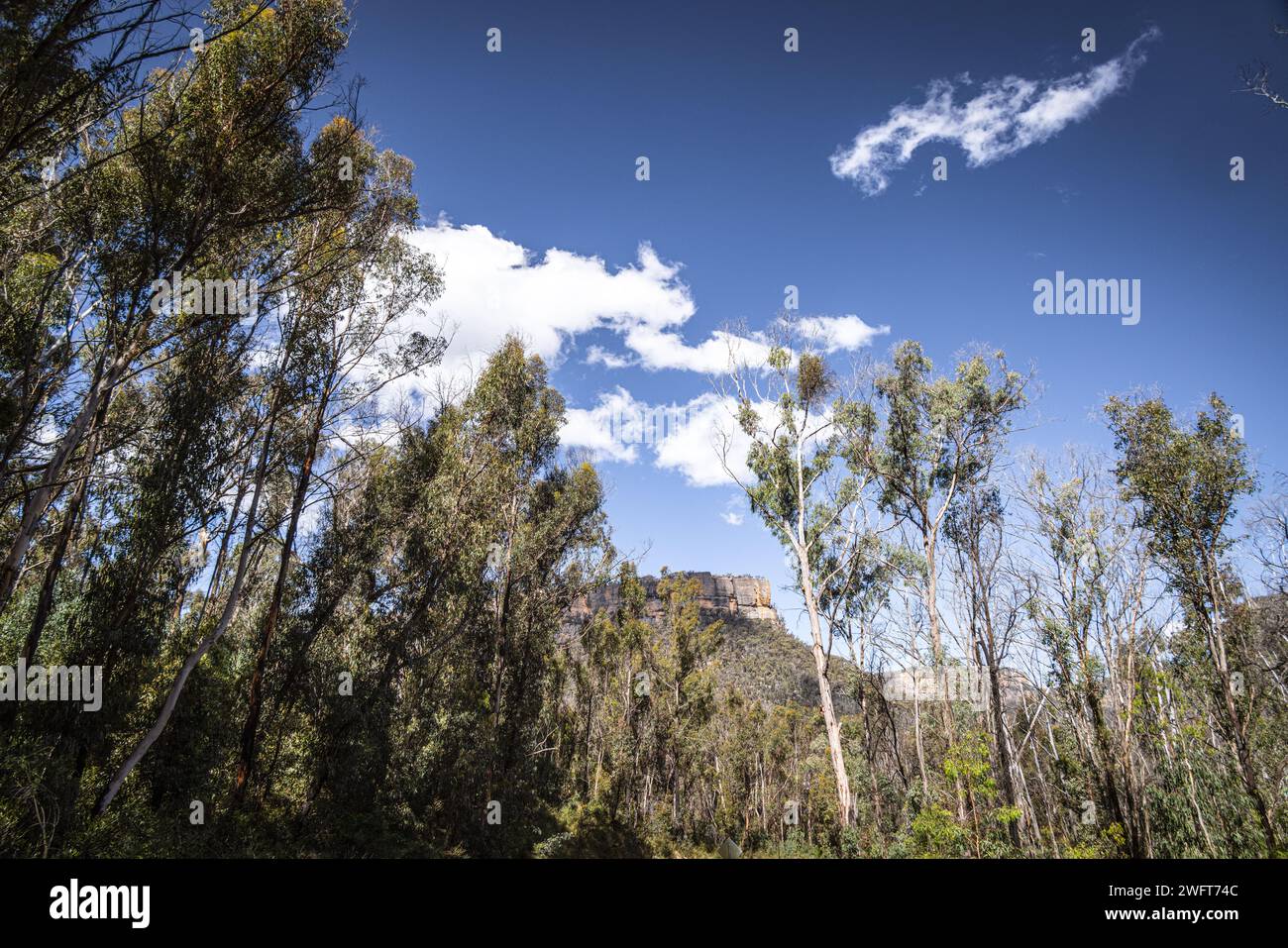 Montagne blu che si affacciano sulla Wolgan Valley, New South Wales, Australia Foto Stock