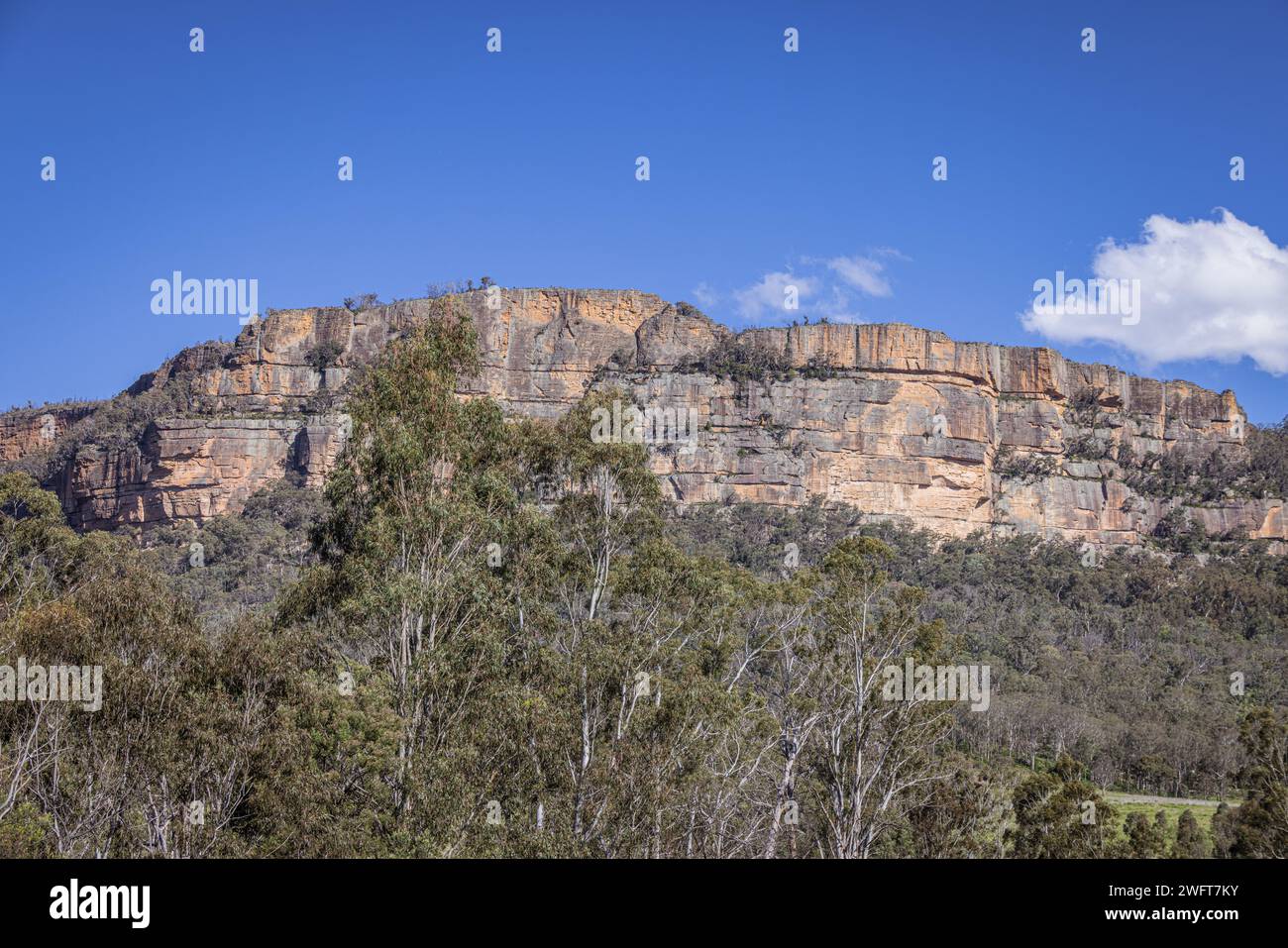 Montagne blu che si affacciano sulla Wolgan Valley, New South Wales, Australia Foto Stock