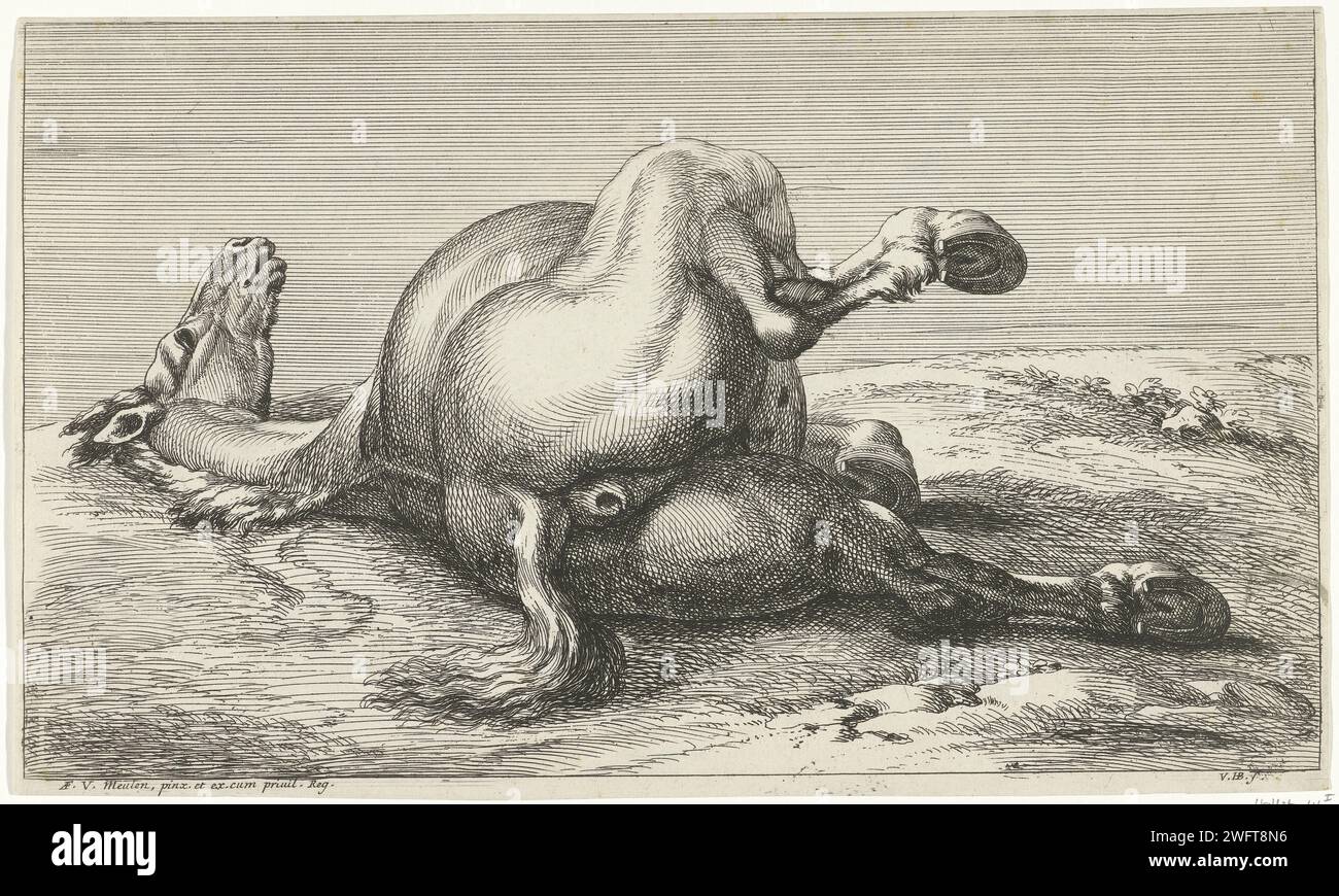 Ucciso Horse Van Achter visto, Jan van Huchtenburg, dopo Adam Frans van der Meulen, 1674 - 1733 stampa Cavallo disteso sul lato sinistro visto da dietro. cavallo da incisione di carta sconosciuto (+ animale morente; morte di animale; animale morto) Foto Stock