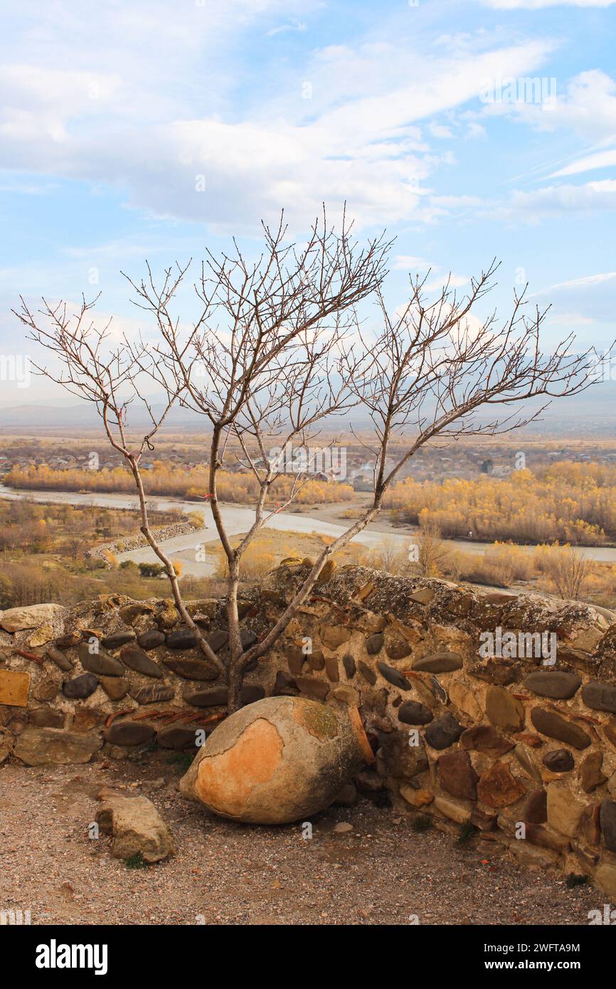 Un piccolo albero si innalza vicino al vaso per il vino nelle rovine dell'antica città. Paesaggio autunnale, muro di pietra, fiume Foto Stock