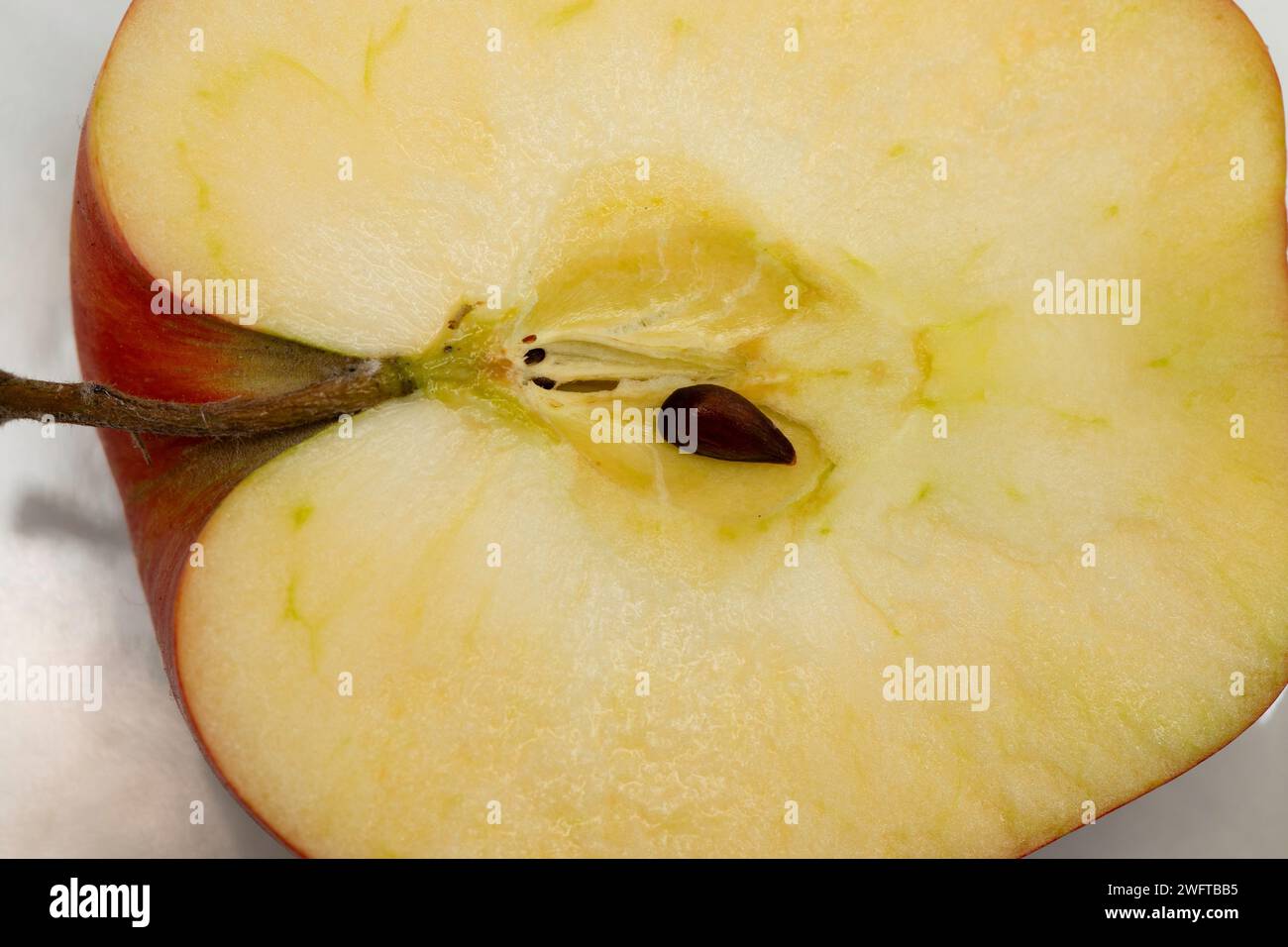 Mela tagliata a metà, semi e nido di semi. Foto Stock