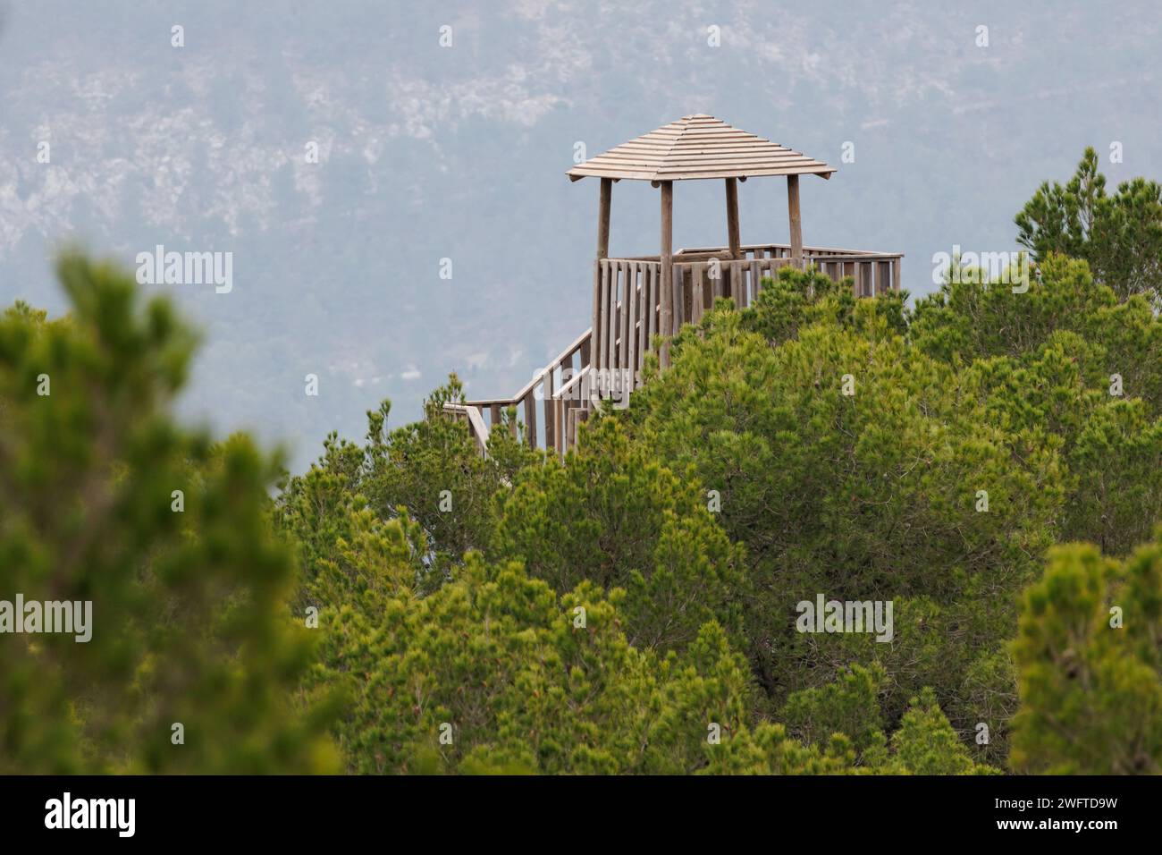 Torre di osservazione Gyps fulvus nel Parc Natural dels Voltors tra le baldacche della pineta, Alcoi, Spagna Foto Stock