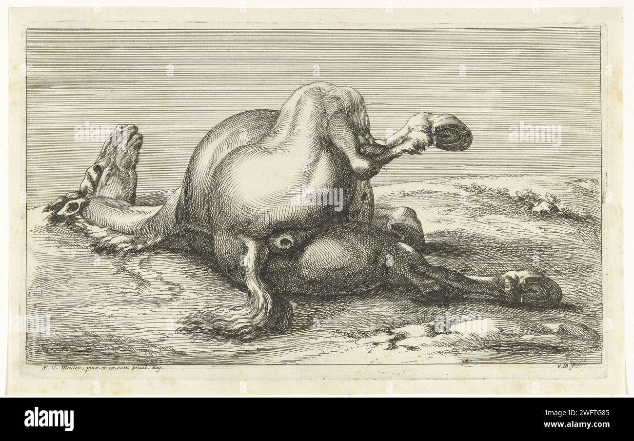 Ucciso Horse Van Achter visto, Jan van Huchtenburg, dopo Adam Frans van der Meulen, 1674 - 1733 stampa Cavallo disteso sul lato sinistro visto da dietro. cavallo da incisione di carta sconosciuto (+ animale morente; morte di animale; animale morto) Foto Stock