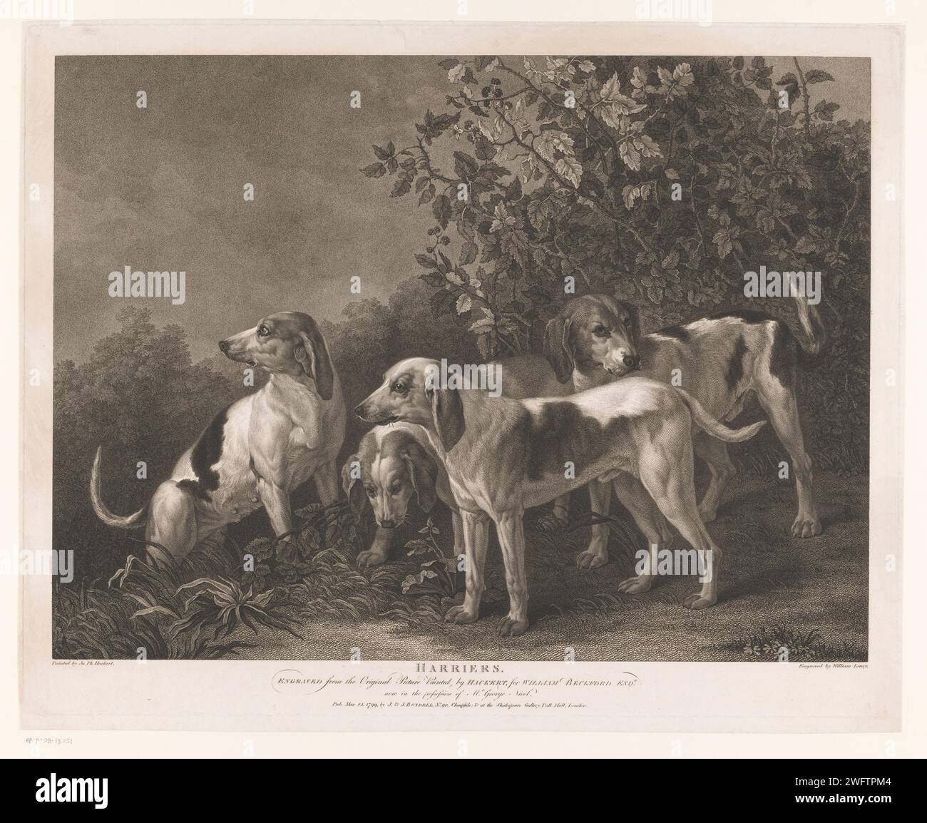 Four Yachthonden, William Satchwell Leney, dopo Jacob Philipp Hackert, 1799 stampa di carta londinese che incide i cani da caccia Foto Stock