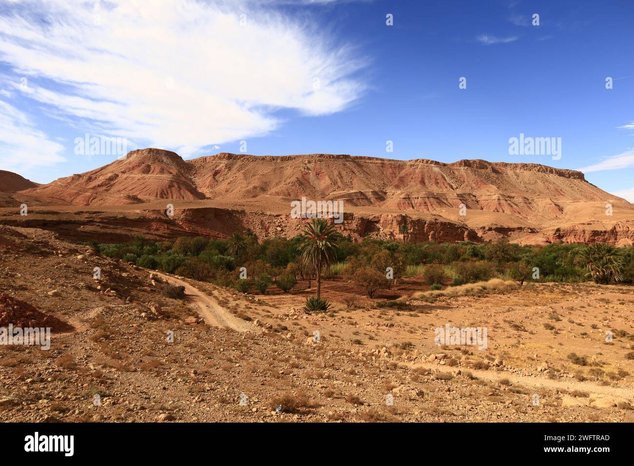 Vista dall'Ait Benhaddou situata lungo l'ex percorso carovaniero tra il Sahara e Marrakech in Marocco Foto Stock