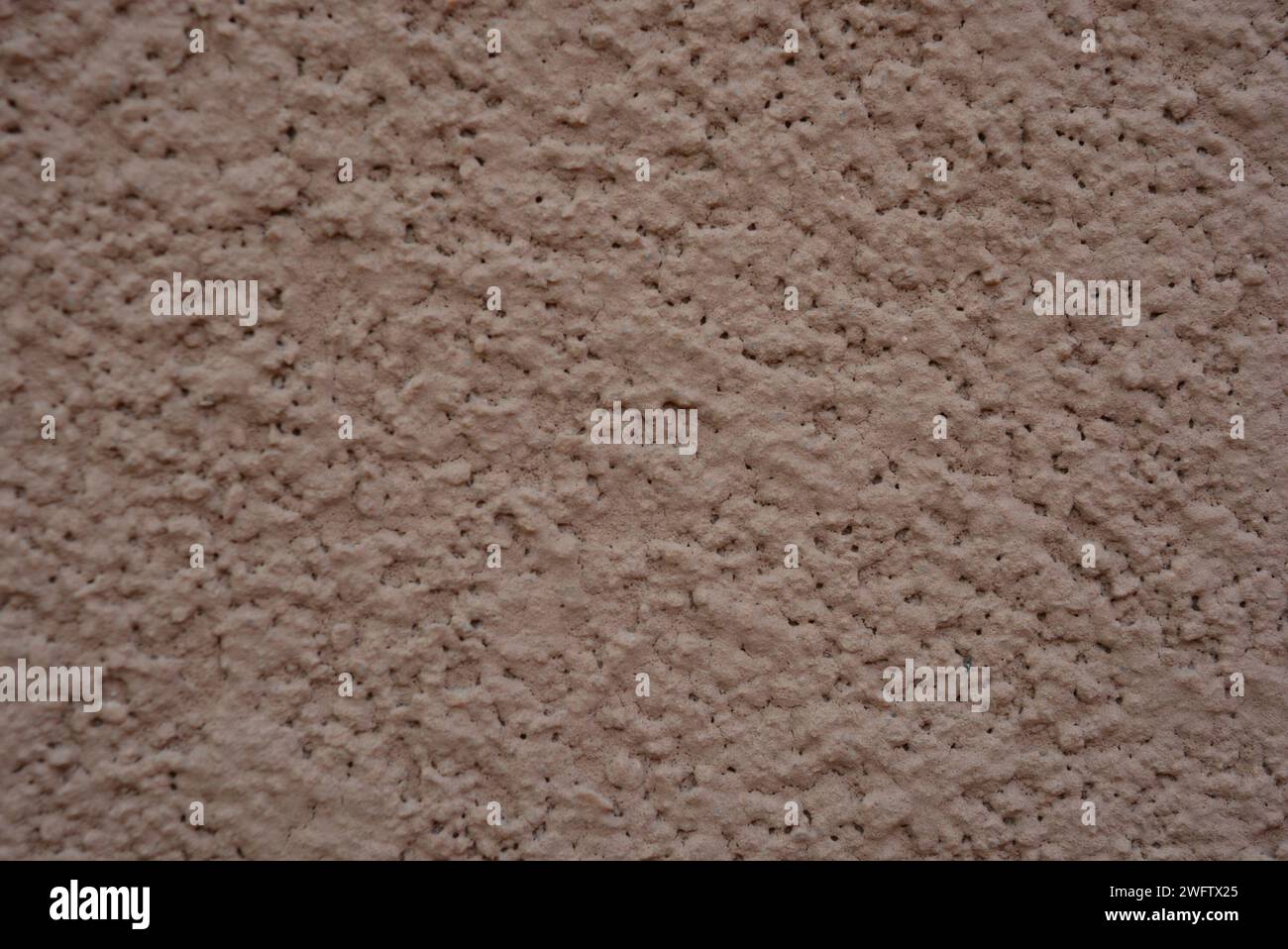 Intonaco strutturale marrone, betle corteccia per la costruzione di vernice per decorazione esterna. Foto Stock