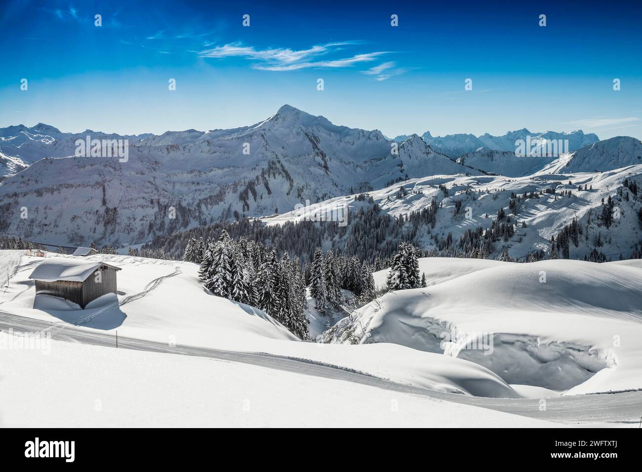Paesaggio montano innevato, Damuels, Bregenzerwald, Vorarlberg, Austria Foto Stock