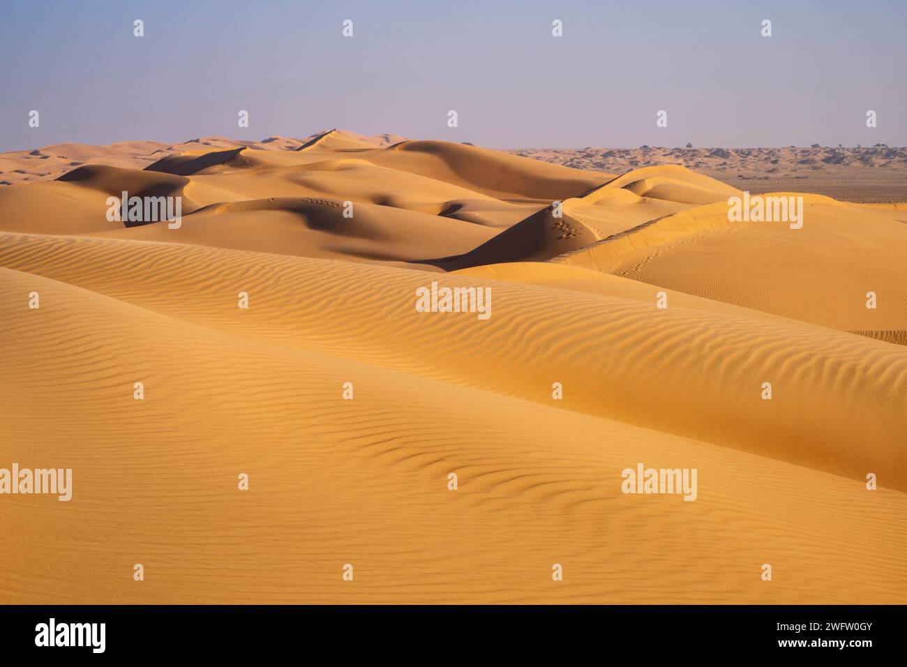 Dune di sabbia nel deserto, vicino a Duqm, Oman Foto Stock