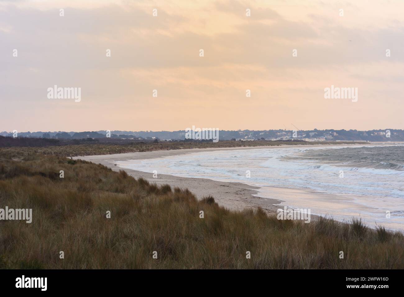 Spiaggia naturista di Studland sulla costa giurassica nel Dorset Foto Stock