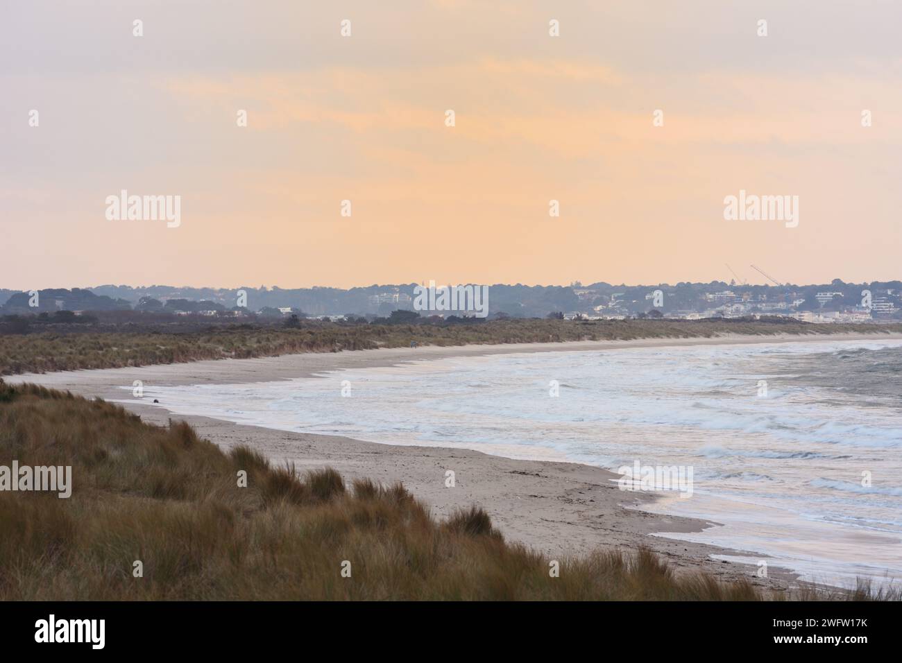 Spiaggia naturista di Studland sulla costa giurassica nel Dorset Foto Stock