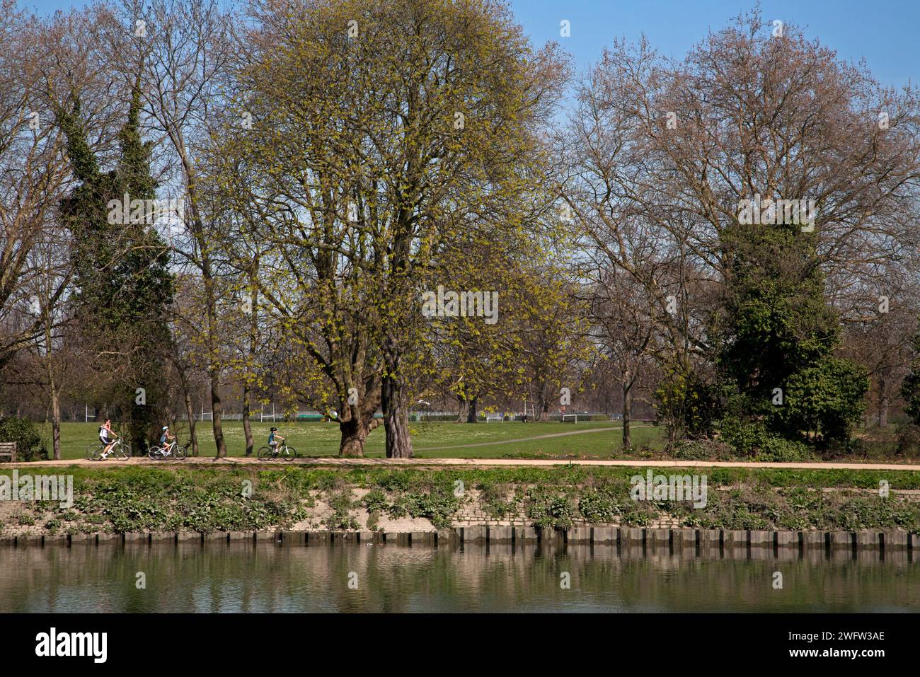 richmond park richmond, surrey, inghilterra Foto Stock