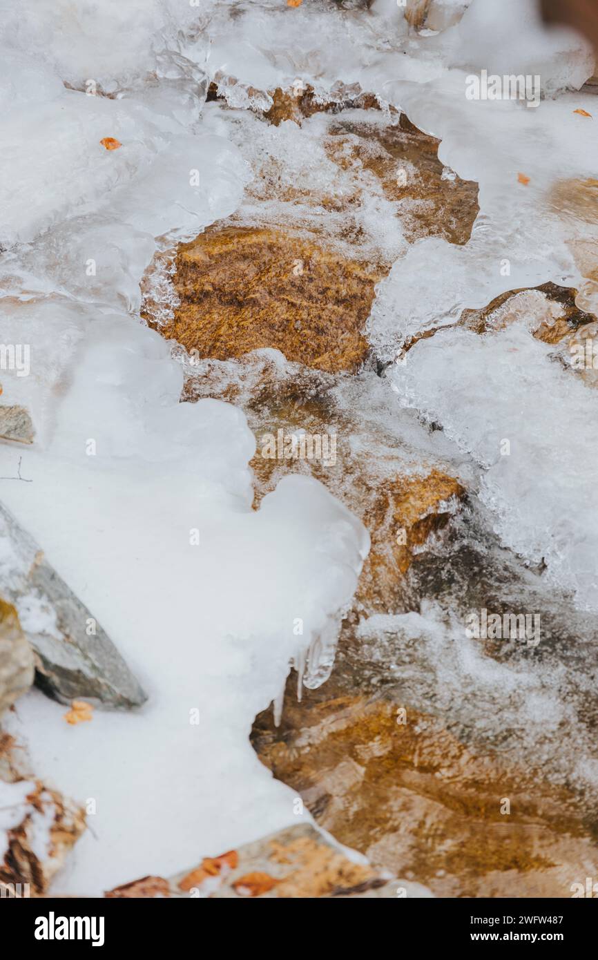 Un sereno torrente alpino che scorre attraverso un paesaggio innevato adornato di foglie cadute e alberi Foto Stock