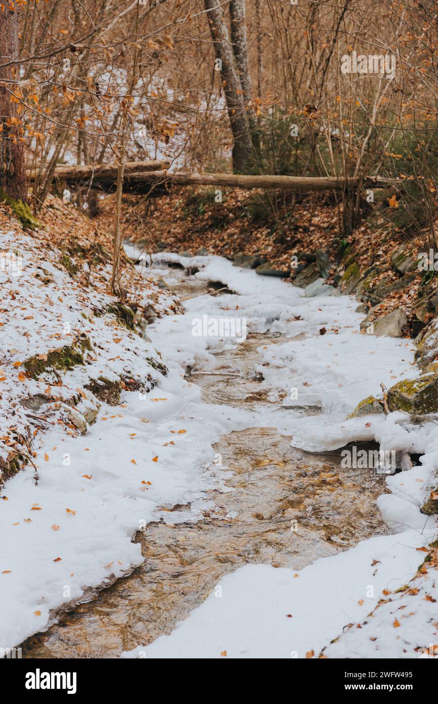 Un sereno torrente alpino che scorre attraverso un paesaggio innevato adornato di foglie cadute e alberi Foto Stock