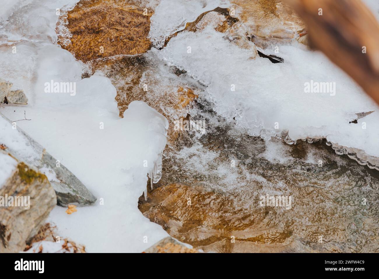 Un tranquillo bosco innevato con un suggestivo ruscello Foto Stock