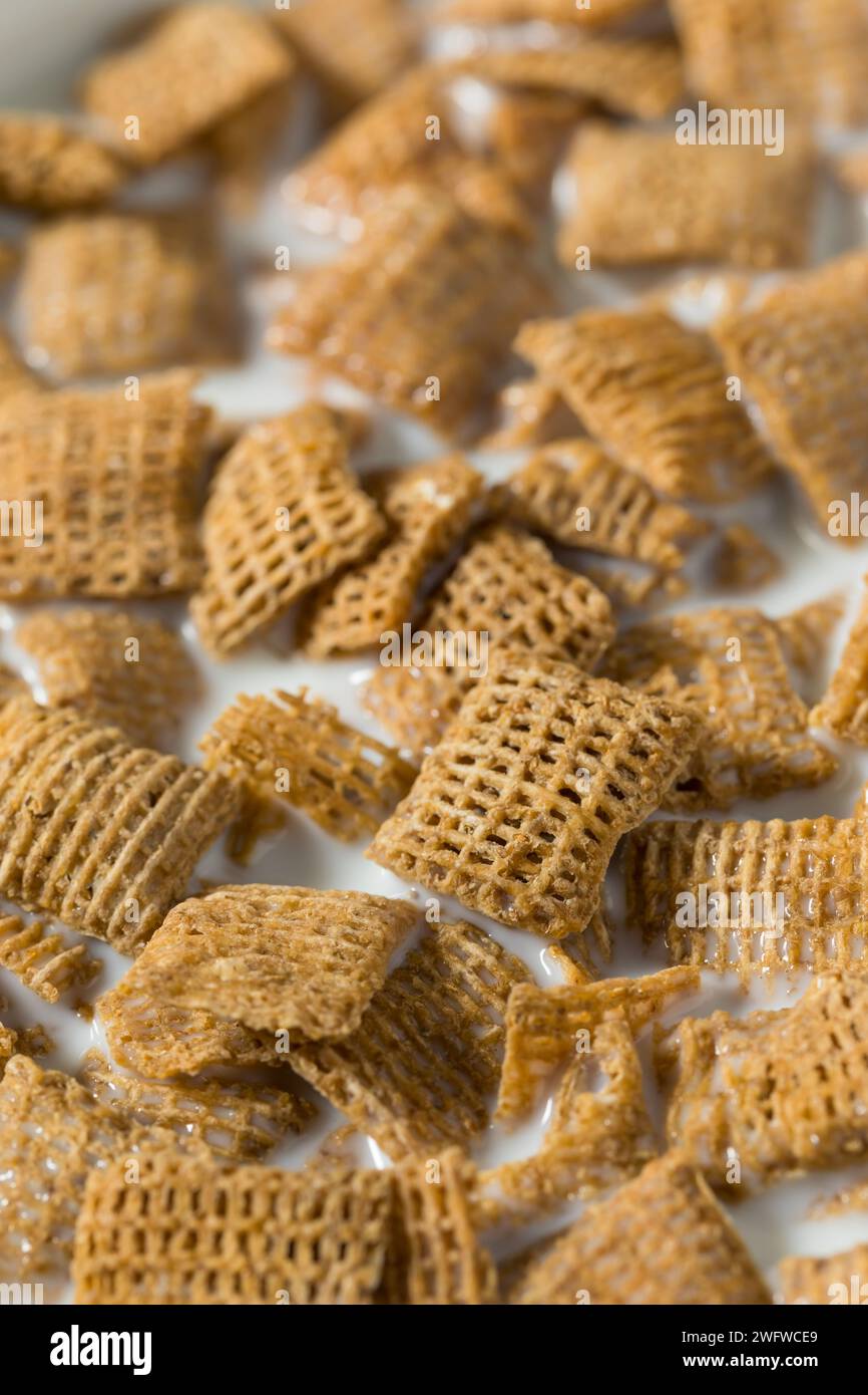 Sane quadrati di grano cereali da colazione con latte intero Foto Stock