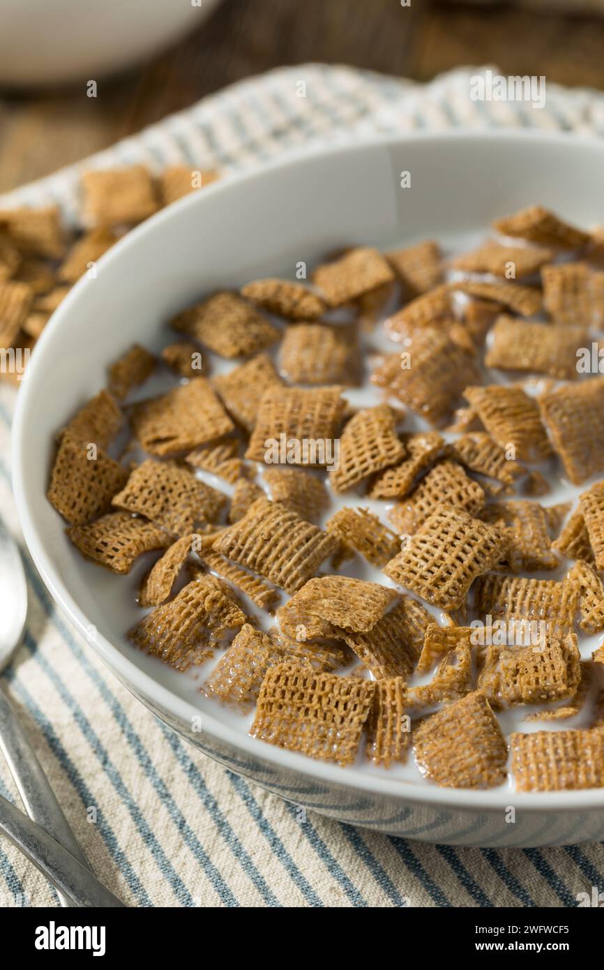Sane quadrati di grano cereali da colazione con latte intero Foto Stock