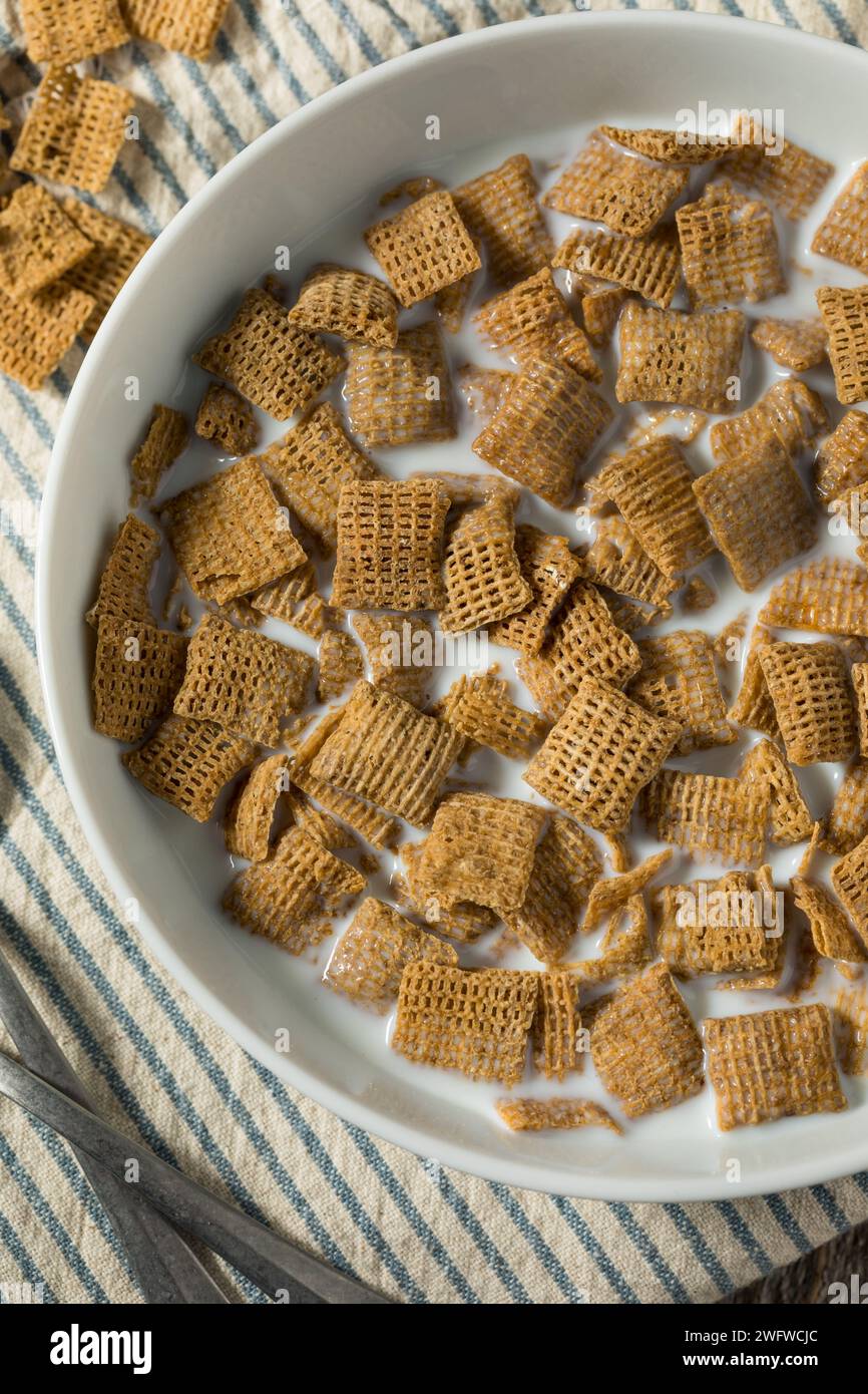 Sane quadrati di grano cereali da colazione con latte intero Foto Stock