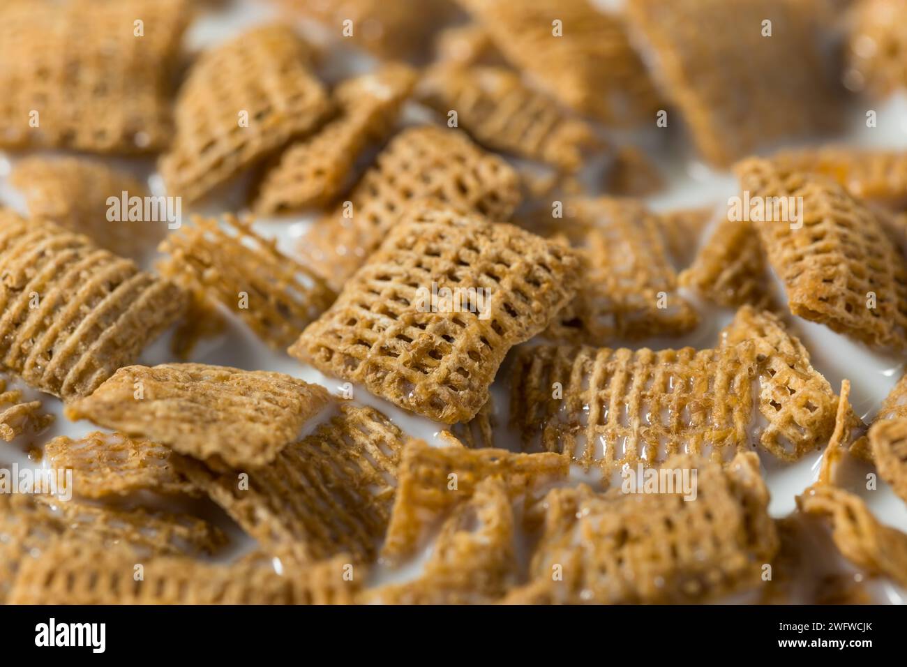 Sane quadrati di grano cereali da colazione con latte intero Foto Stock