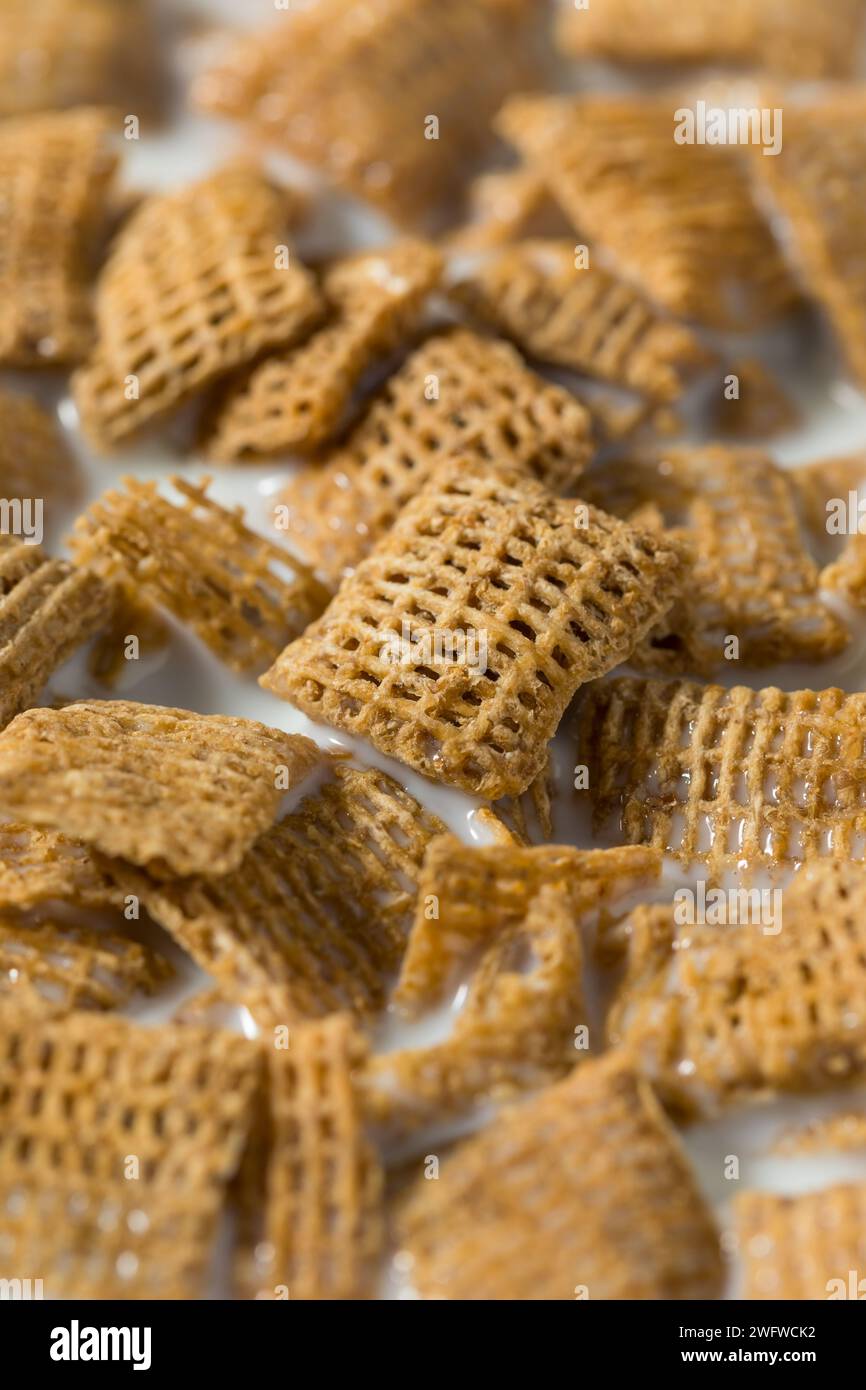 Sane quadrati di grano cereali da colazione con latte intero Foto Stock