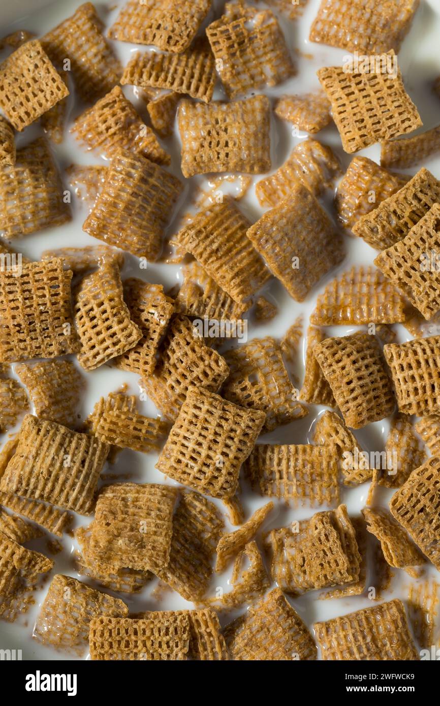 Sane quadrati di grano cereali da colazione con latte intero Foto Stock