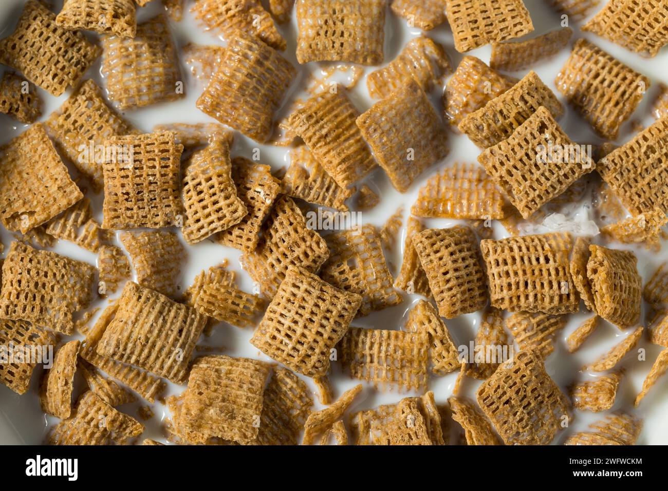 Sane quadrati di grano cereali da colazione con latte intero Foto Stock