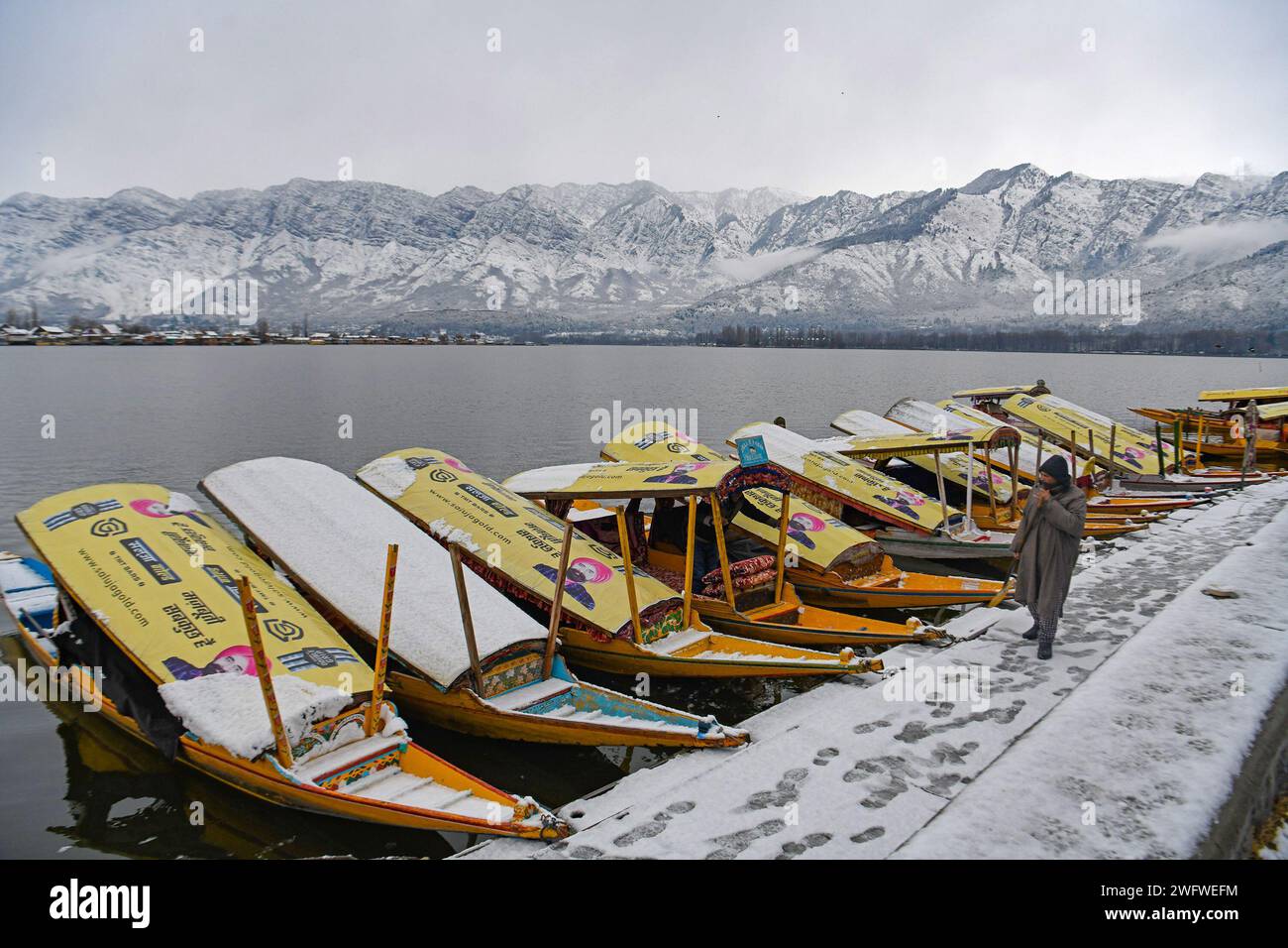 Le nevicate fresche nei tratti più alti della valle del Kashmir hanno infranto uno dei più lunghi periodi di asciutto di circa due mesi di questa stagione. Una fresca nevicata ha attirato la gente del posto e i turisti. L'economia dello stato è fortemente dipendente dall'industria turistica e la nevicata dopo una lunga attesa attira i turisti nella scintillante valle d'argento. Kashmir, India. Foto Stock