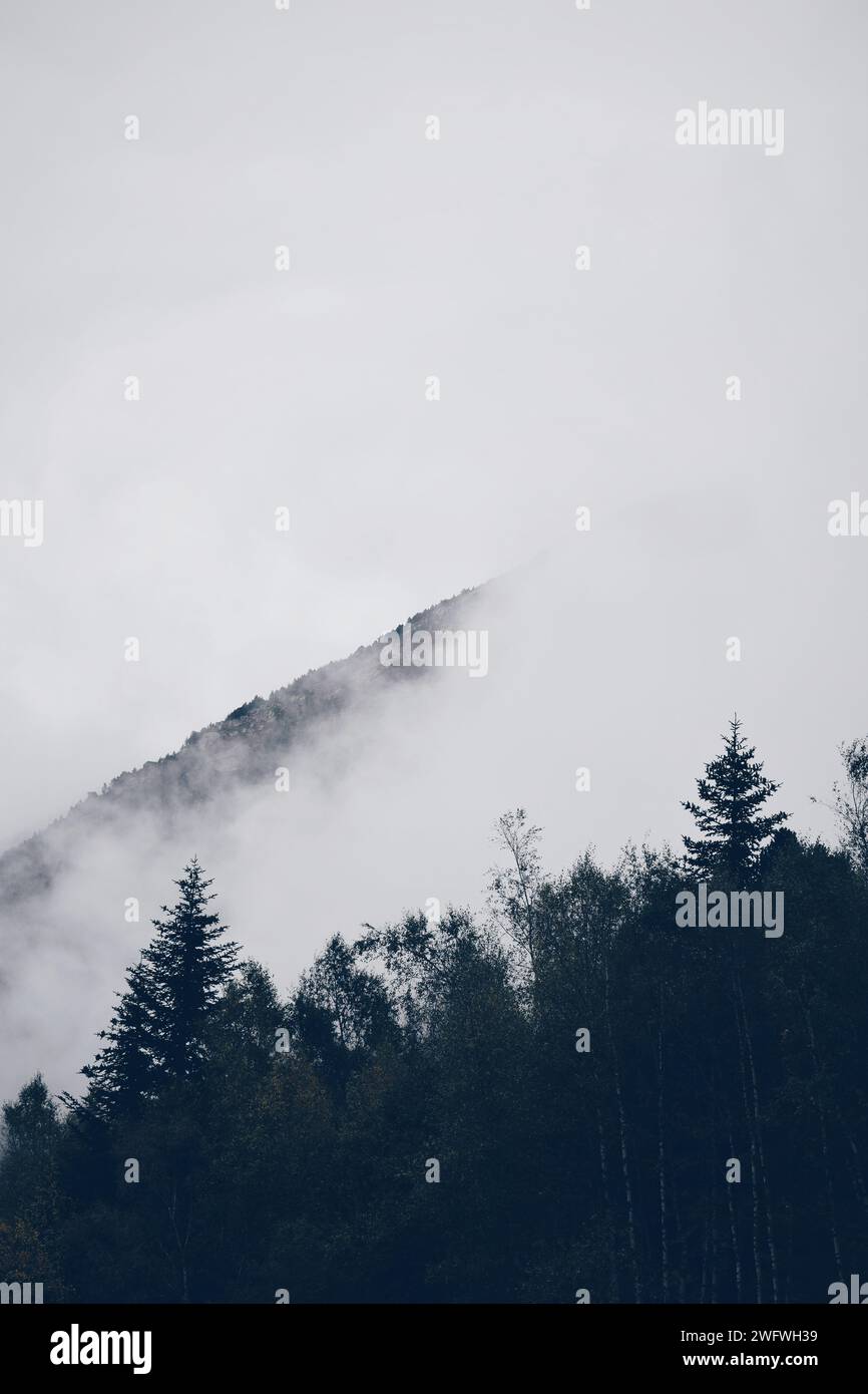 Nuvole basse in una foresta nei Pirenei francesi in Francia il 10 settembre 2020 Foto Stock