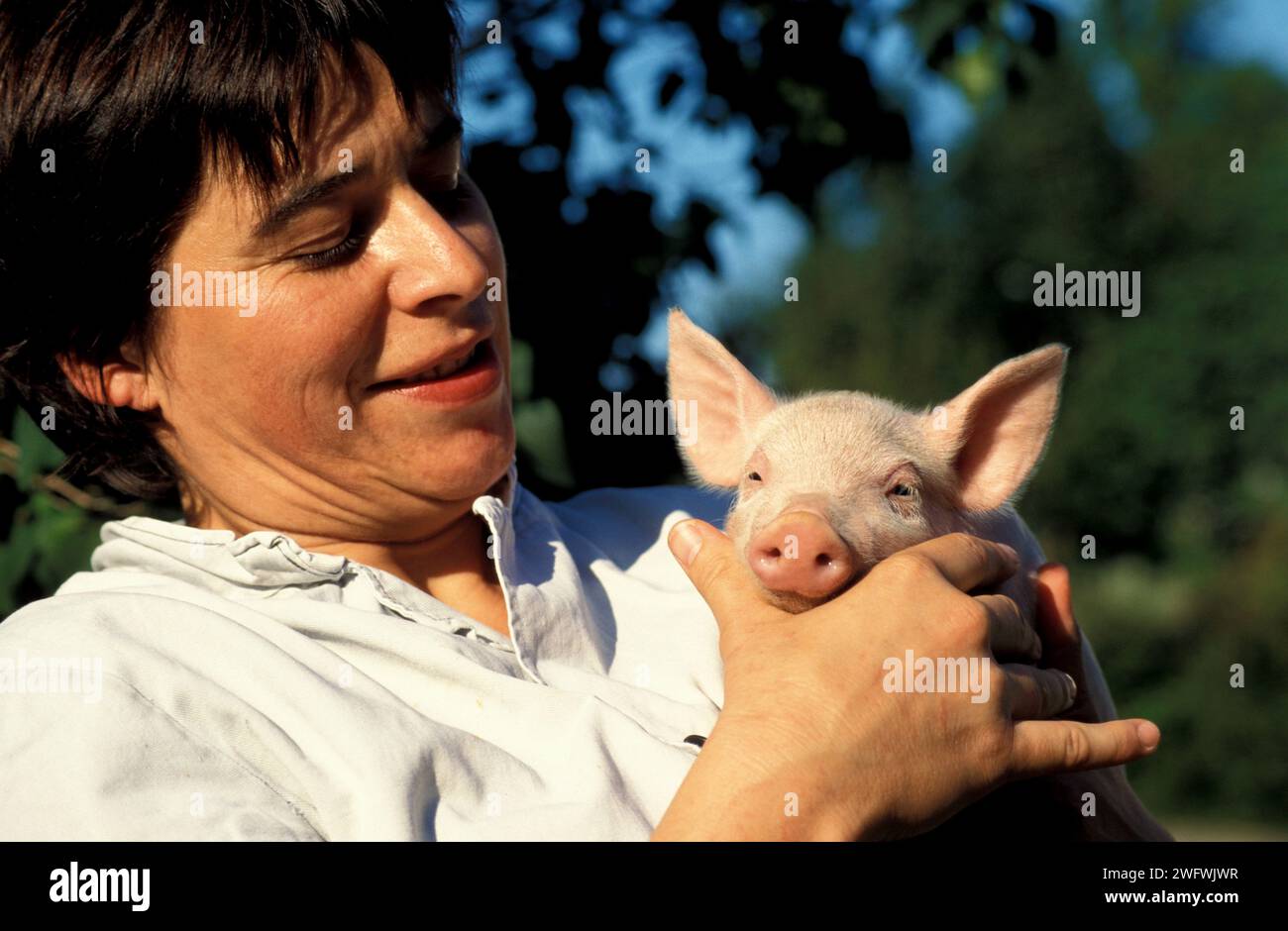 Un visitatore di una fattoria tiene un maialino in braccio per la prima volta Foto Stock