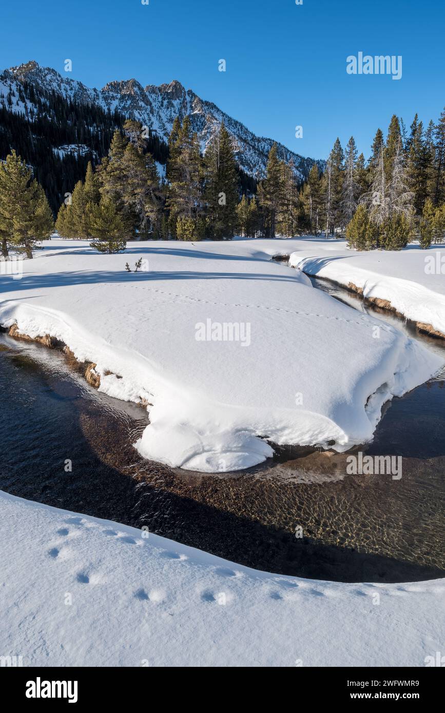 Lower Aneroid Basin, Eagle Cap Wilderness, Oregon. Foto Stock