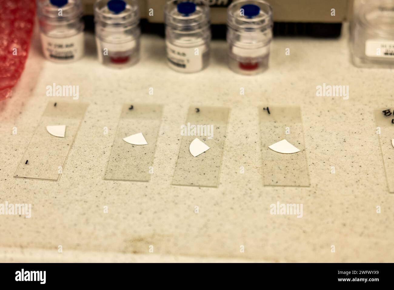 Foto di attrezzature per l'analisi dell'amianto in un laboratorio nel sud della Florida negli Stati Uniti. Foto Stock