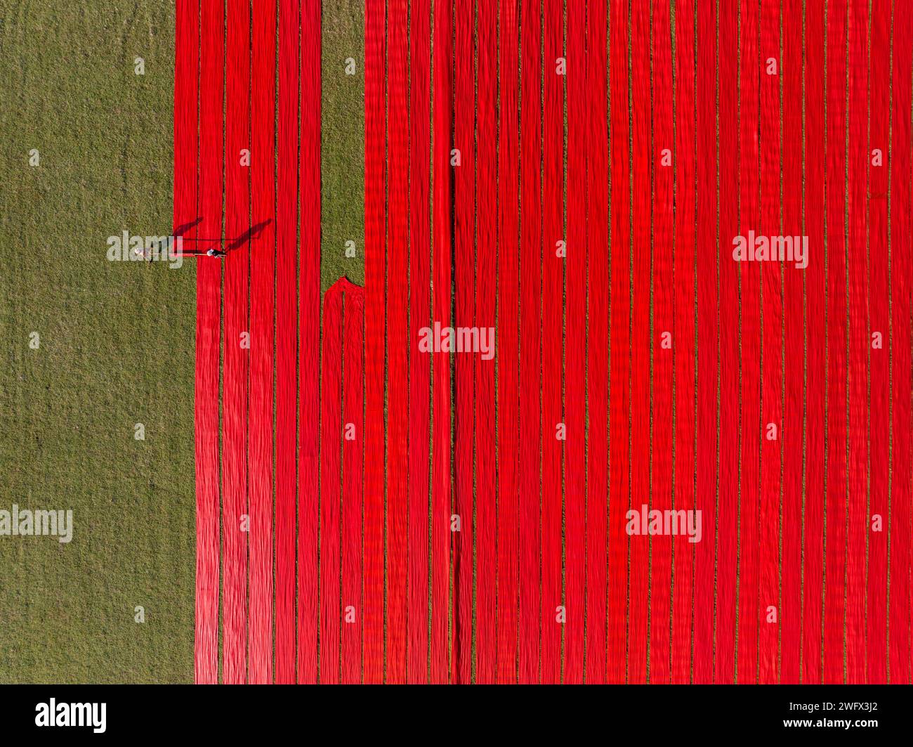 Vista aerea di centinaia di metri di cotone rosso brillante appena tinto si estendono per asciugare al sole a Narsingdi, Bangladesh. Foto Stock