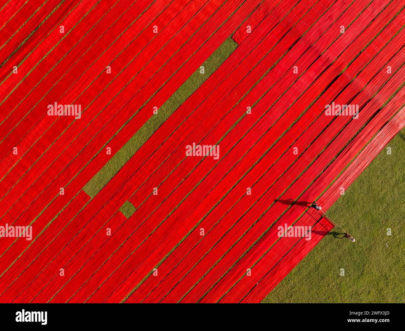 Vista aerea di centinaia di metri di cotone rosso brillante appena tinto si estendono per asciugare al sole a Narsingdi, Bangladesh. Foto Stock