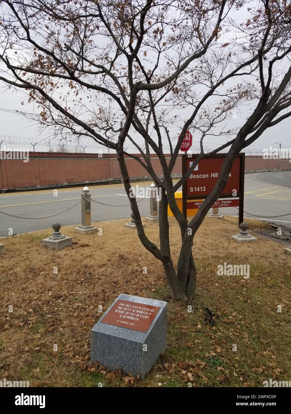 Un albero piantato in memoria del Chief Warrant Officer 2 Benjamin K. Humphreys - piantato dalla sua vedova, Betty, nel 2007 - si trova alla base di Beacon Hill al Memorial Park a Camp Humphreys. L'installazione prende il nome da Humphreys nel 1962 dopo la sua morte avvenuta l'anno precedente in un incidente in elicottero nei pressi di Osan, Repubblica di Corea. Poiché la U.S. Army Garrison Humphreys Directorate of Public Works è attualmente alla ricerca di nomination per pezzi centrali per quattro rotatorie vuote, si dovrebbe prendere in considerazione l'acquisizione di un CH-21 Shawnee - come quello volato da Humphreys - e renderlo il fulcro. Foto Stock