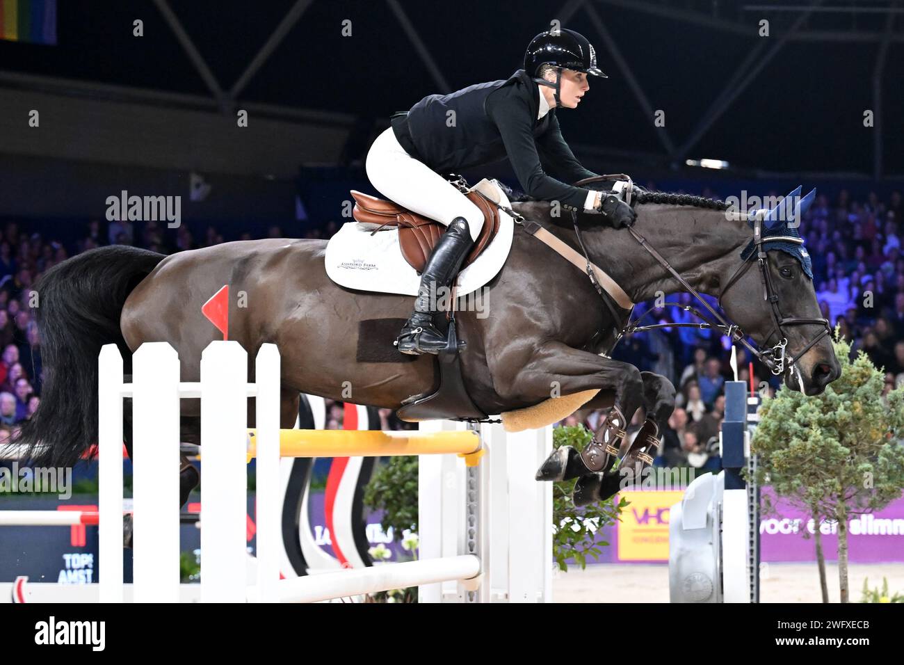 AMSTERDAM - Jana Wargers con Rockwell RC durante la Longines FEI Jumping World Cup al torneo Jumping Amsterdam 2024 alla RAI il 28 gennaio 2024 ad Amsterdam, Paesi Bassi. ANP | Hollandse Hoogte | GERRIT VAN COLOGNE Foto Stock