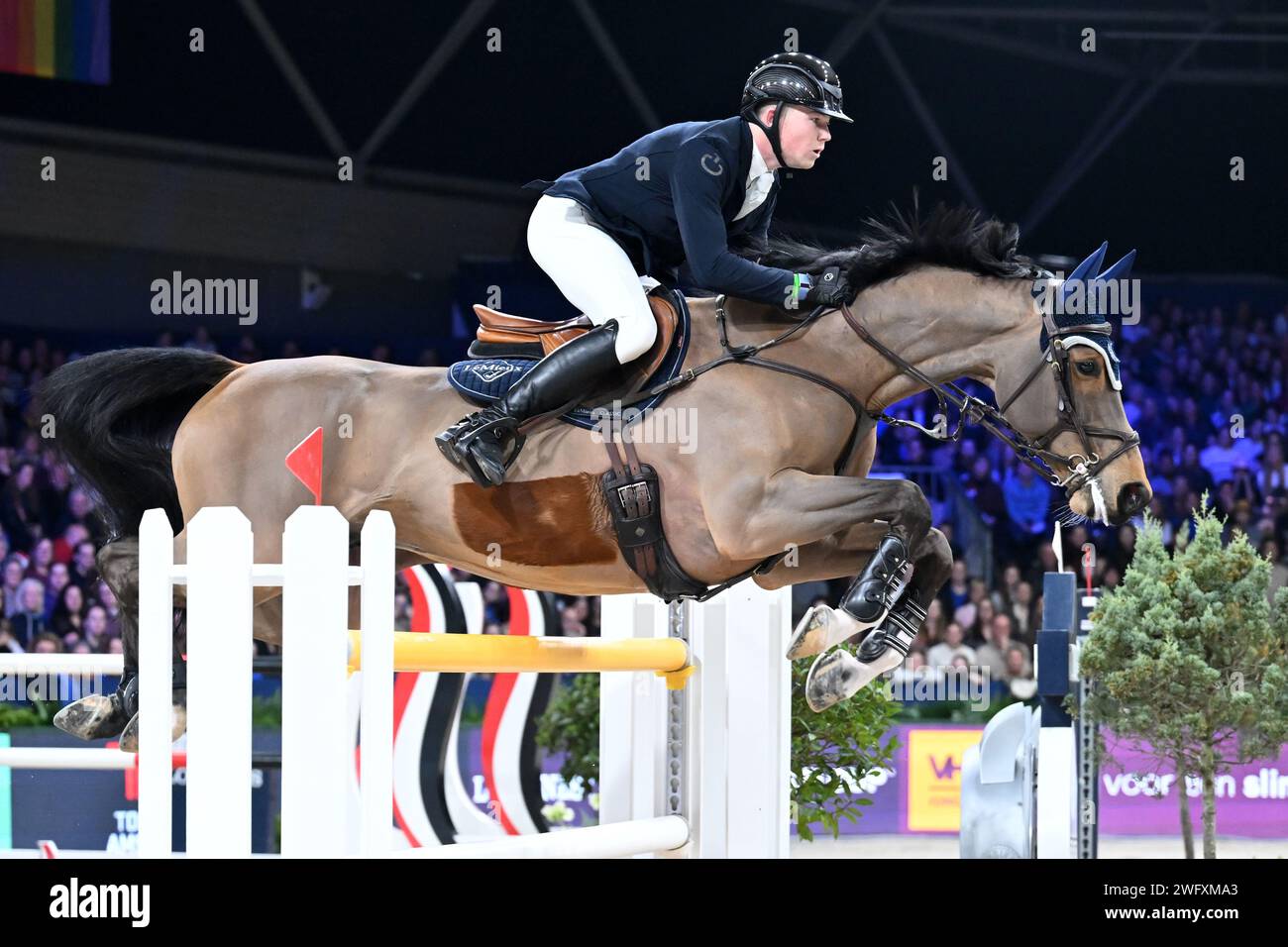 AMSTERDAM - Harry Charles con Sherlock durante la Longines FEI Jumping World Cup al torneo Jumping Amsterdam 2024 alla RAI il 28 gennaio 2024 ad Amsterdam, nei Paesi Bassi. ANP | Hollandse Hoogte | GERRIT VAN COLOGNE Foto Stock