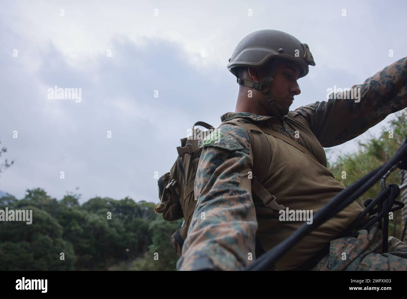 U.S. Marine Corps Corp. Rene Gonzalez, un cannoniere di artiglieria da campo con 3d Battalion, 12th Marine Littoral Regiment, 3d Marine Division, rappels during a Basic Jungle Skills Course at the Jungle Warfare Training Center on Camp Gonsalves, Okinawa, Giappone, 9 gennaio 2024. BJSC insegna ai Marines abilità di sopravvivenza nella giungla di base, tecniche tattiche di sospensione della corda e tattiche di guerra nella giungla per migliorare la letalità negli ambienti difficili della giungla. Gonzalez è nativo della Florida. Foto Stock