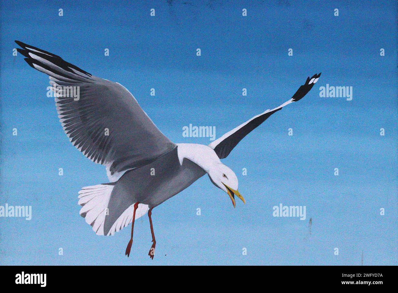 Un gabbiano attende di rubare cibo a un turista credulone, creato per il progetto Plymouth Selfie Wall dall'artista locale Mrs Murals (Ellie Johnson). Foto Stock