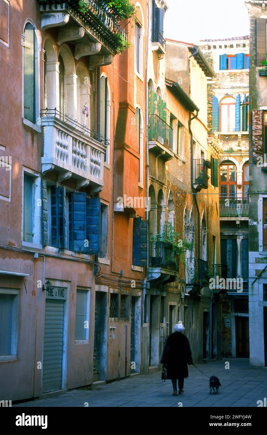 Cane da passeggio donna, architettura residenziale, Venezia, Italia Foto Stock