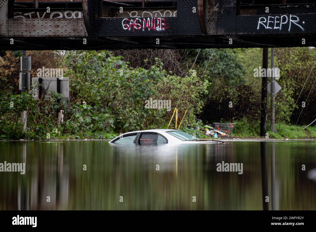 Long Beach, Stati Uniti. 1 febbraio 2024. Un veicolo intrappolato nelle acque alluvionali che si sono verificate al largo di Willow St. A Long Beach. (Foto di Jon Putman/SOPA Images/Sipa USA) credito: SIPA USA/Alamy Live News Foto Stock