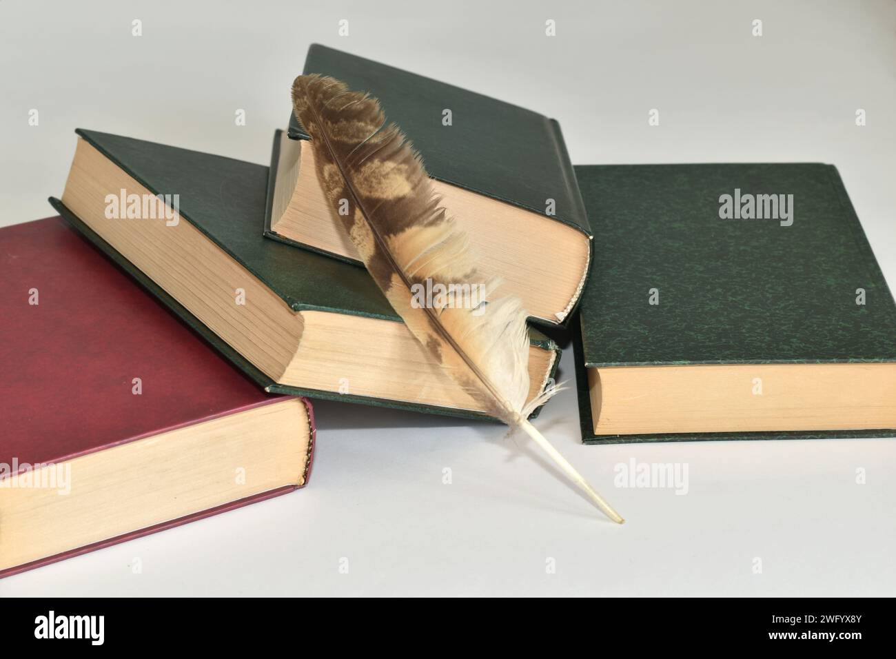 Ai vecchi tempi, i libri venivano scritti con una penna di quill. Le immagini includono libri e una piuma d'uccello. Foto Stock