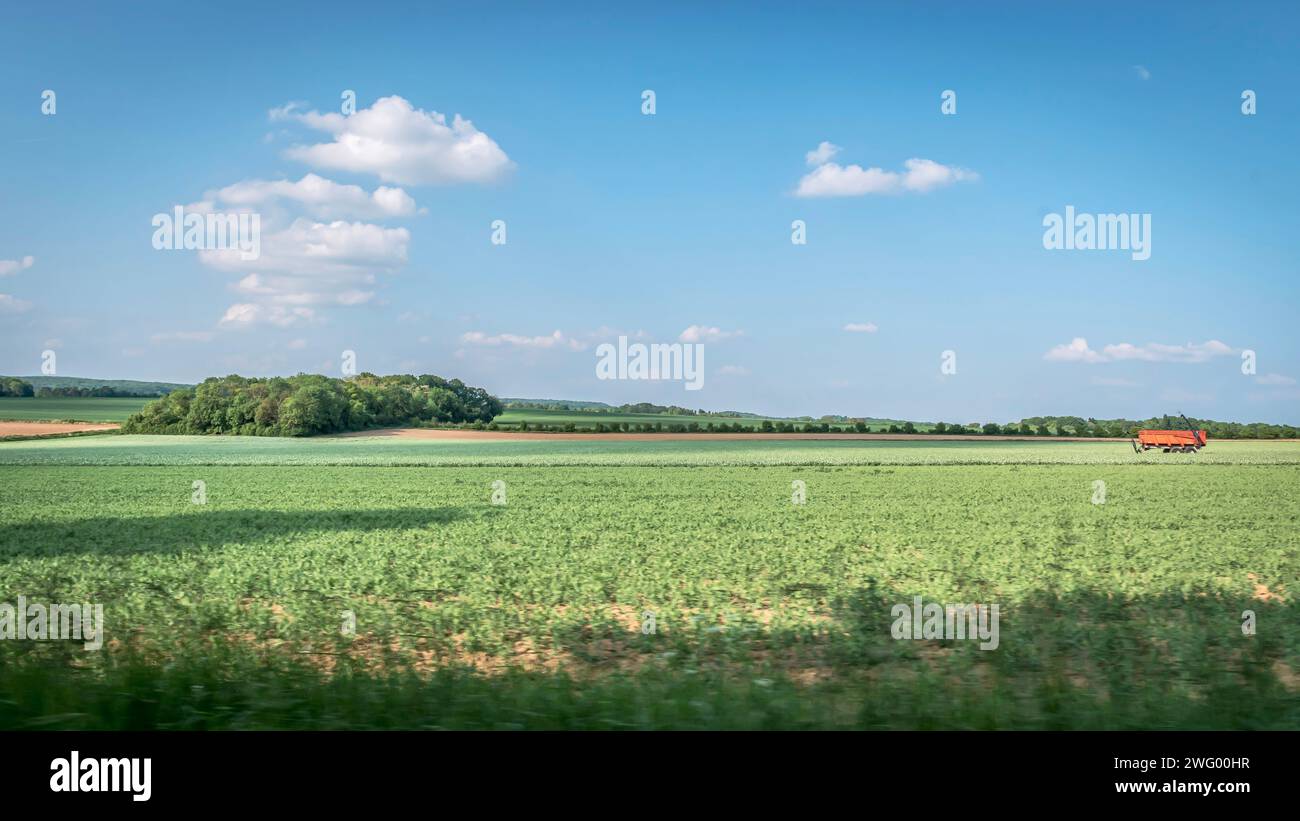 Un camion rosso in un'azienda agricola con colture in primo piano Foto Stock