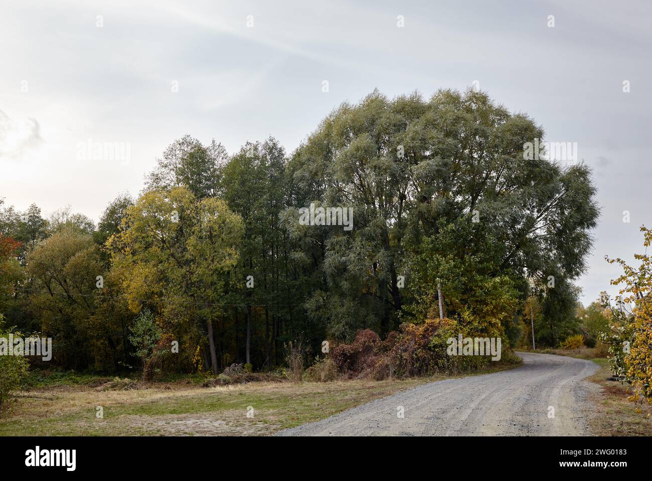 Una strada di ghiaia nell'Europa rurale. Strada suburbana Foto Stock