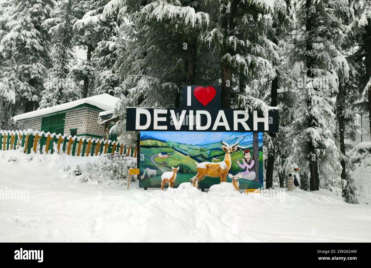 Mandi, India. 2 febbraio 2024. MANDI, INDIA - 1 FEBBRAIO: Valle di Jiuni del distretto di Mandi coperta da forti nevicate fresche, il 1 febbraio 2024 a Mandi, India. (Foto di Birbal Sharma/Hindustan Times/Sipa USA ) credito: SIPA USA/Alamy Live News Foto Stock