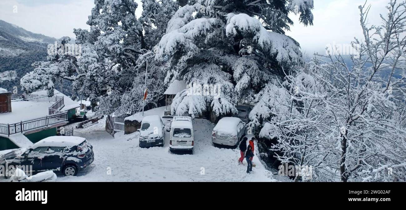 Mandi, India. 2 febbraio 2024. MANDI, INDIA - 1 FEBBRAIO: Valle di Jiuni del distretto di Mandi coperta da forti nevicate fresche, il 1 febbraio 2024 a Mandi, India. (Foto di Birbal Sharma/Hindustan Times/Sipa USA ) credito: SIPA USA/Alamy Live News Foto Stock