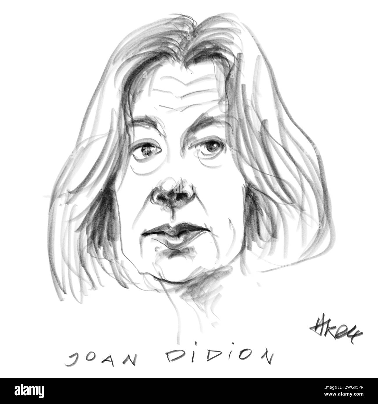 Didion Joan Foto Stock