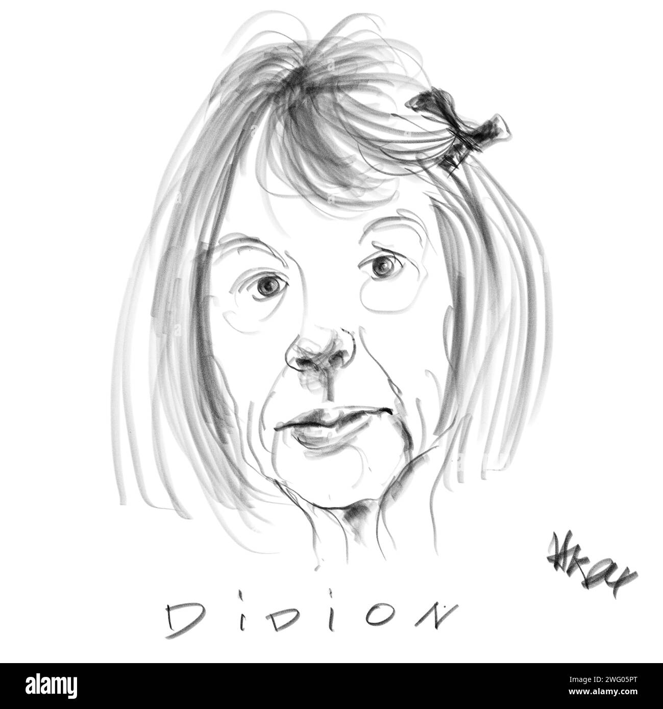 Didion Joan Foto Stock