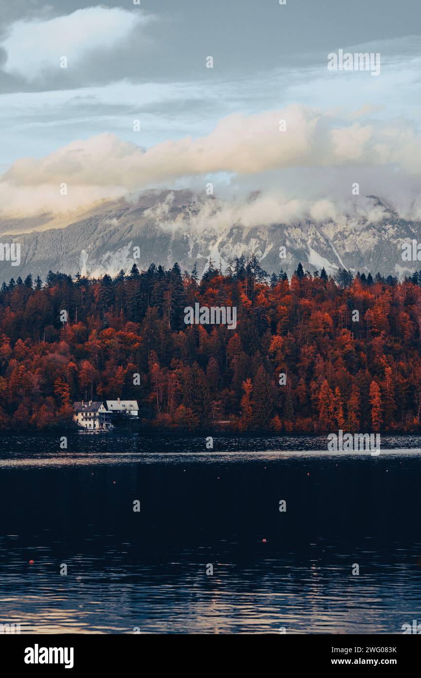 Montagne vicino al lago di Bled, Slovenia e foresta autunnale, foglie gialle, arancioni e verdi Foto Stock